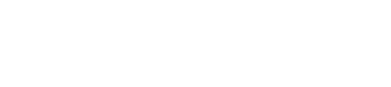 Polygon logo wit